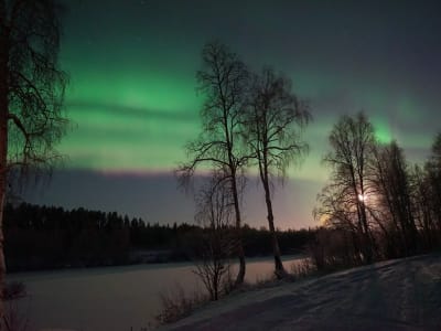 Expérience culinaire et sauna dans les aurores boréales à Muotkan Ruoktu, près d'Inari