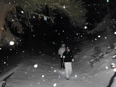 Randonnée en raquettes de nuit dans les Monts-Valin, Saguenay–Lac-Saint-Jean