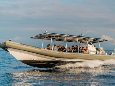 Excursion de plongée en apnée en speed raft sur la Grande île, au départ de Kailua Kona