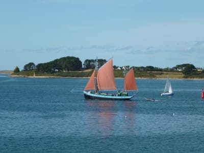 Balade en bateau à l’archipel des Glénan au départ de Lesconil, à bord d’un vieux gréement