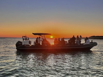 Paseo en barco por el puerto de La Cotinière, isla de Oléron