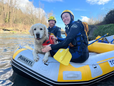 Cani-Rafting on the Gave de Pau, Hautes-Pyrénées