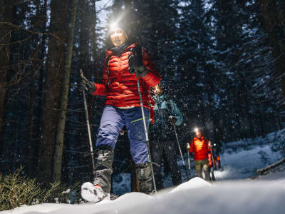 Randonnée nocturne dans la forêt d'Oslo