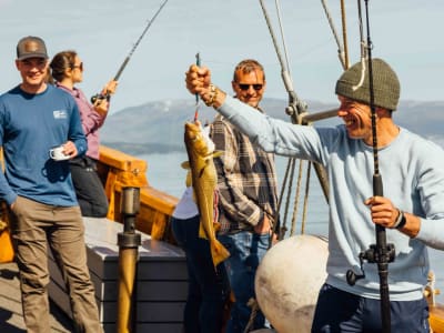 Excursión en Barco de Fiordos y Pesca desde Tromsø en un Barco Histórico