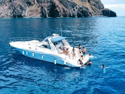 Whale and Dolphin Watching Yacht Cruise from Calheta, Madeira