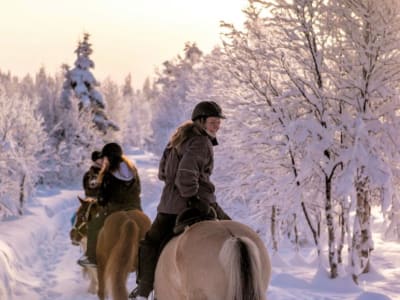 Winter Horseback Riding Experience near Jotunheimen from Oslo