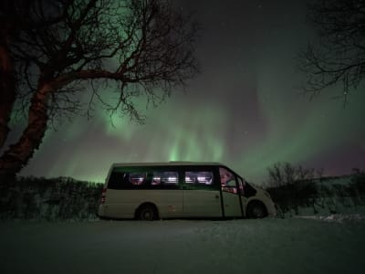 Northern Light Tour in a Minibus in Tromsø