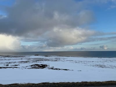 Recorrido en furgoneta por Varangerfjorden, cerca de Vardø
