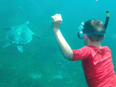 Boat Trip and Snorkelling with Turtles from Les Trois-Îlets in Martinique