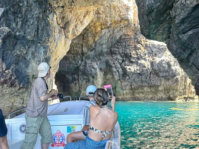 Bootstour zu den Höhlenwänden in Sesimbra
