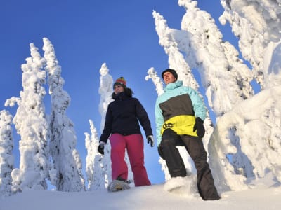Snowshoeing Excursion from Vuokatti