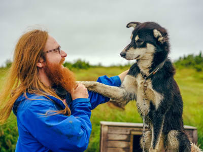 Husky Kennel Visit in Kvaløya from Tromsø