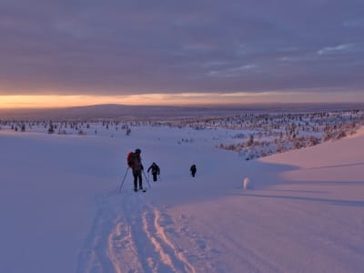 Backcountry Skiing in Pallas-Yllästunturi National Park from Äkäslompolo