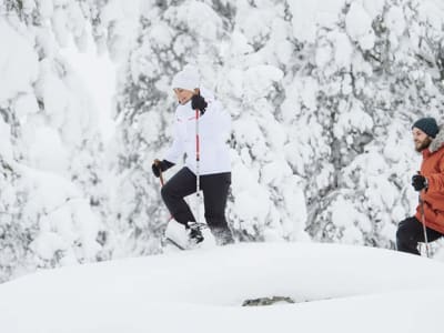 Excursión guiada con raquetas de nieve por el Parque Nacional Urho Kekkonen desde Saariselkä