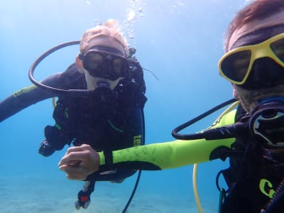 Try Scuba Diving from Piso Aliki Beach in Paros