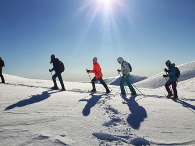 Introducción a las Raquetas de Nieve en La Molina Parc Aventura