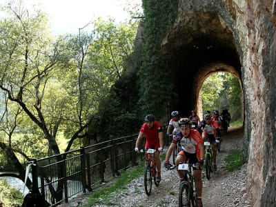 Guided Mountain Bike Tour along the Old Spoleto–Norcia Railway Line, starting from Arrone, near Terni