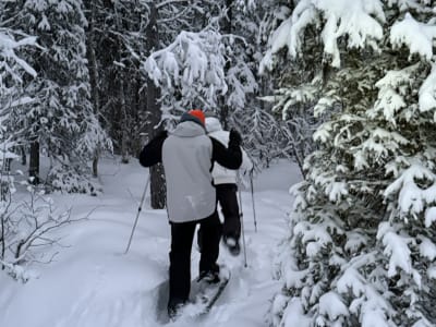 Excursion guidée en raquettes et visite d'un élevage de rennes à partir de Levi