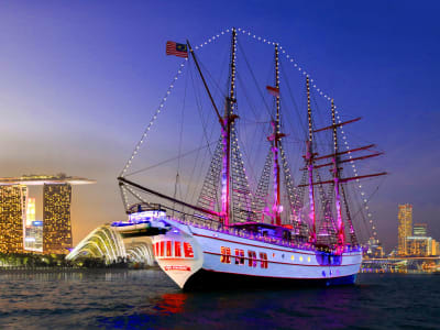 Crucero con cena nocturna en Singapur