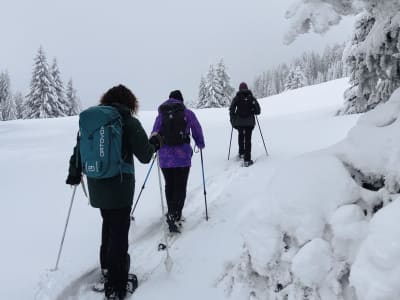Randonnée guidée en raquettes aux chalets de la Fullie, près du lac du Bourget