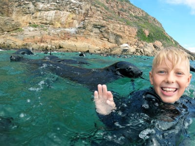 Snorkel with seals in Plettenberg Bay
