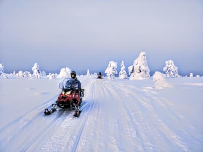 Snowmobile Experience in the Arctic Forest from Ylläsjärvi