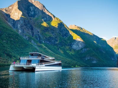 Guided Sightseeing Tour to Nærøyfjord, Flåm, and Stegastein from Bergen 