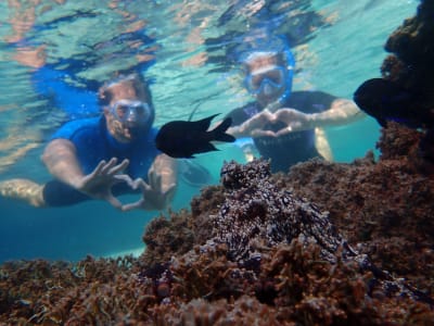 Snorkelling Excursion in Porto Santo, Madeira