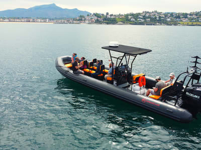 Boat trip to the Basque coast from Saint-Jean-de-Luz