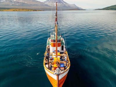 Boat Tour from Tromsø on a Historic Ship