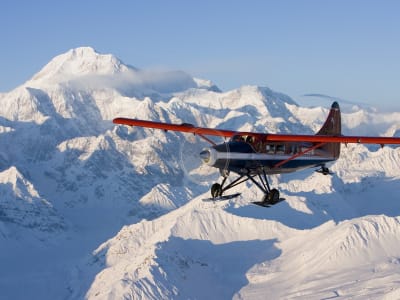 Vuelo panorámico a la cordillera de Alaska y alrededor de la cara sur de Denali, desde Talkeetna