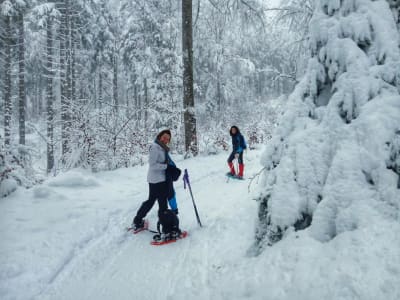 Excursión con raquetas de nieve en el Parque Nacional Adamello Brenta desde Andalo