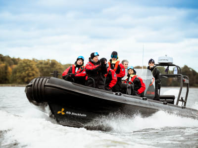 Speedboat Tour in the Stockholm Archipelago & Grinda Island Visit