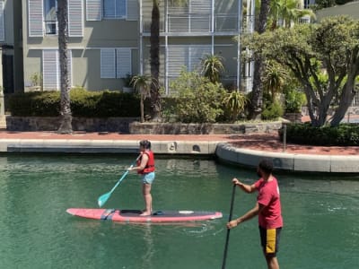 Stand up paddle Lesson in Cape Town