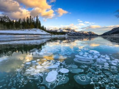 Visite guidée de la promenade des Glaciers et du lac Abraham au départ de Banff