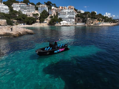 Paseo en barco por la Bahía de Palma desde el puerto de Palma, Mallorca