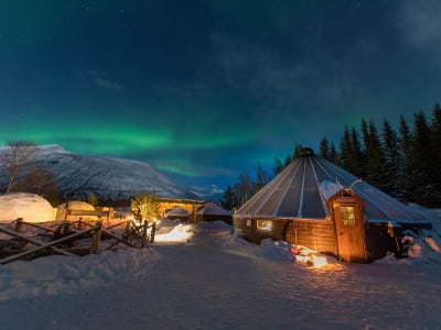 Expérience des aurores boréales en milieu sauvage au Camp Tamok depuis Tromsø