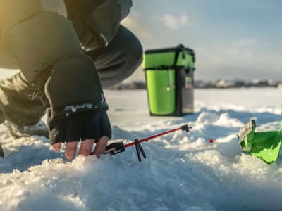 Ice Fishing Excursion from Luleå