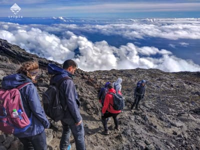 Randonnée d'une journée sur le mont Pico à Ilha de Pico, Açores