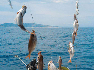 Fischerboot-Ausflug in die Bucht von Mirabello ab Elounda, Kreta