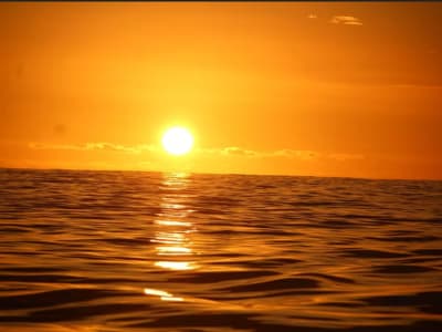 Sunset boat trip from Le Port, north of Saint-Paul