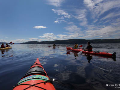 Sea Kayaking in the Saguenay Fjord from Cap Jaseux, Saint-Fulgence