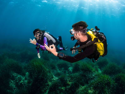 First Dive in the Port-Cros National Park near Hyères from La Londe-les-Maures