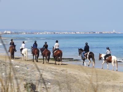 Paseo a caballo en Ostuni, cerca de Bari, Apulia