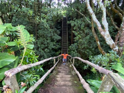 Guided Hike to Janela do Inferno and Caldeira Velha, São Miguel, Azores