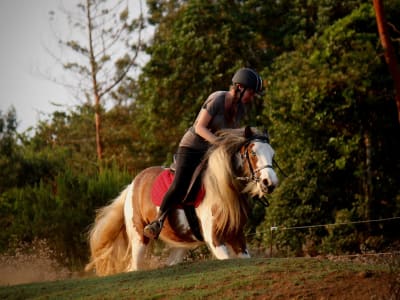 Discovery horseback riding on Piton Maïdo, Réunion Island