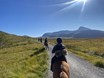 Horseback Riding Tour in Måslia Seter from Ørskogfjellet near Ålesund