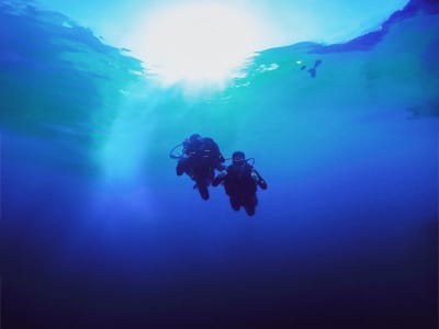 Plongée exploration à La Maddalena et aux îles Lavezzi, Sardaigne