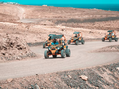 Guided Buggy Tour in Jandía Natural Park from Morro Jable, Fuerteventura