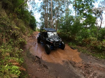 Private Buggy Excursion to Cabo Girão and Mount Trompica from Funchal, Madeira